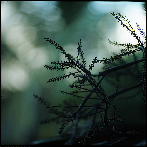 09_mathieu-lesavre_o