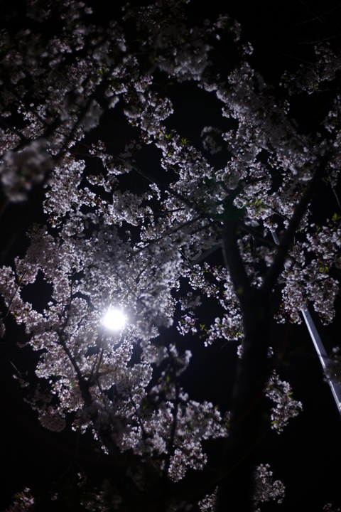 L1001626 L1001626