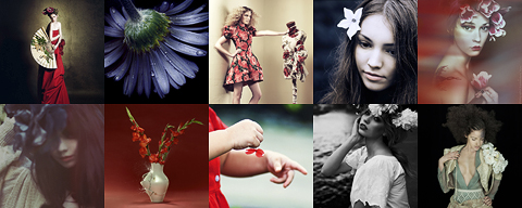 fleurs