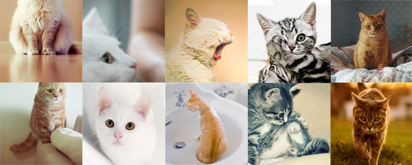 chats