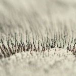 kim-pimmel-compressed-01 kim-pimmel-compressed-01