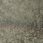 kim-pimmel-compressed-03 kim-pimmel-compressed-03