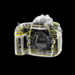 Nikon-D800-boitier-1