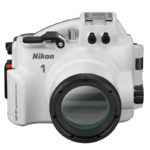 WP_N1_fronttop WP_N1_fronttop
