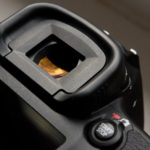 _DSC7107 _DSC7107