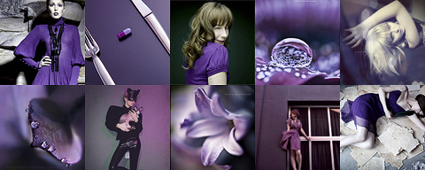 miniaturesviolet1