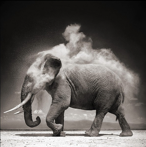 nick-brandt01