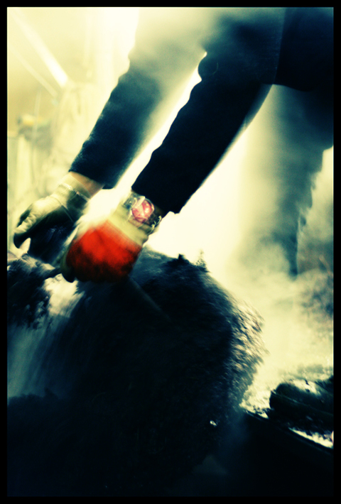 putchinette-1266766763