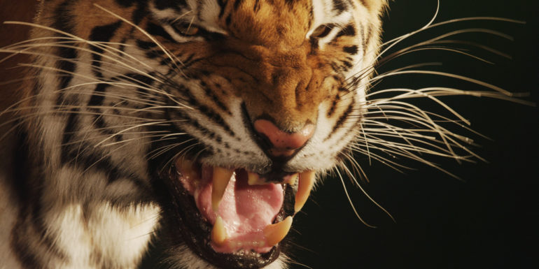 A004_C012_0101JB.0000000_small