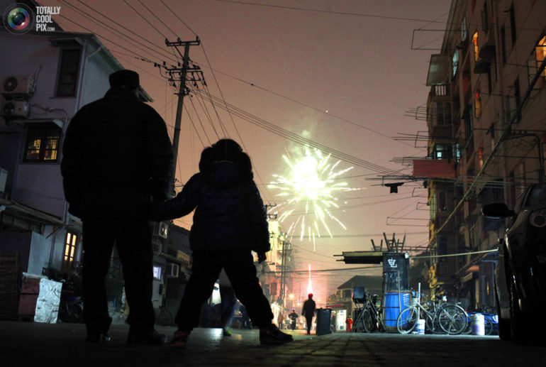 nouvel-an-chinois-annee-chat