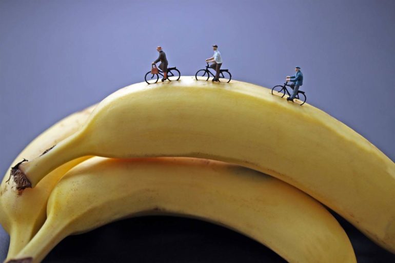 banana-riders1.jpg