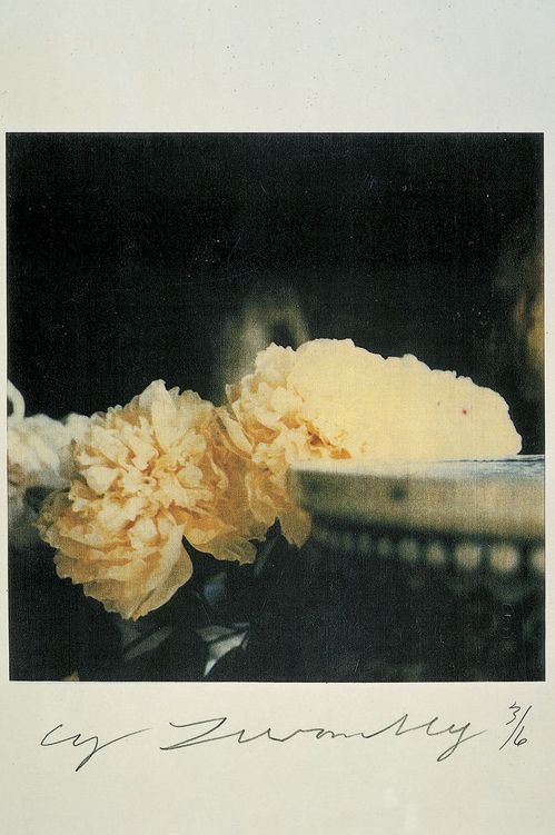 Cy-Twombly.jpg