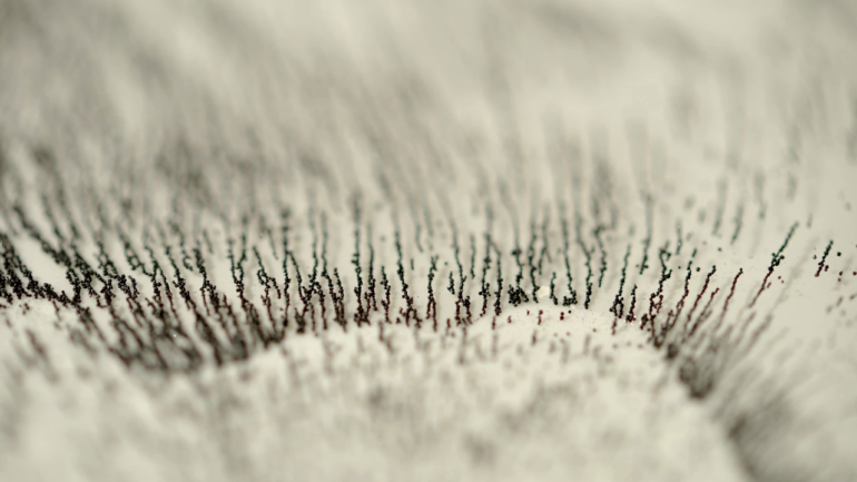 kim-pimmel-compressed-01