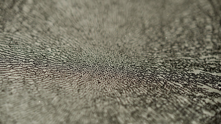 kim-pimmel-compressed-03