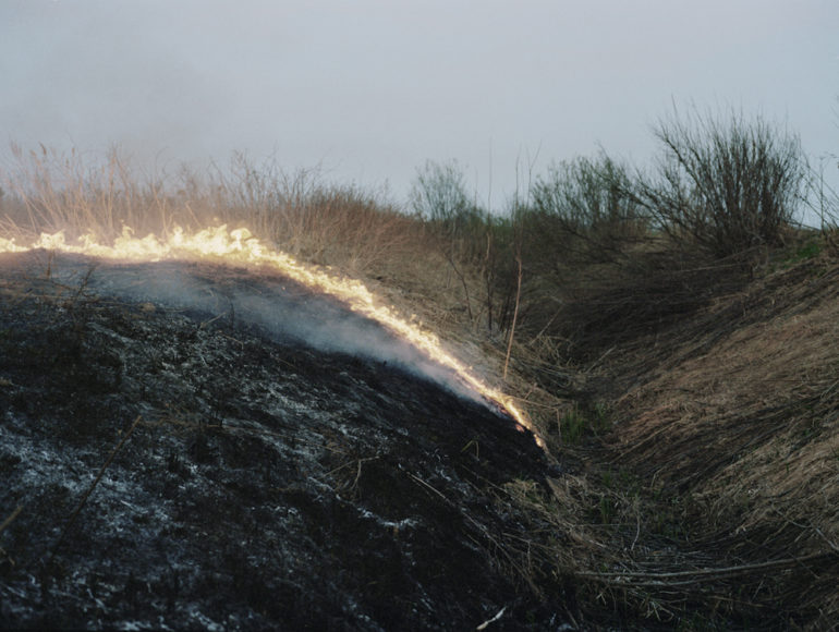 gelguda_ugnius_crimescapes_Flaming-last-years-grass-almost-burns-homesteads.jpg