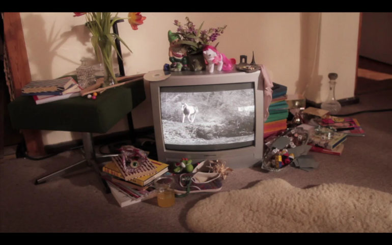 mint-julep-to-the-sea-06