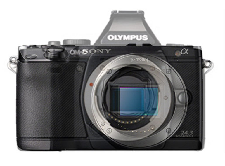 olympus-om-d-44.jpg