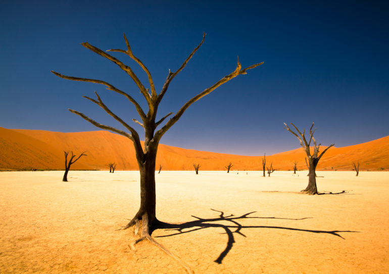 CATEGORY-WINNER.-Bernard-Pieterse-South-Africa-Youth-Shortlist-Environment-Sony-World-Photography-Awards-2012.jpg