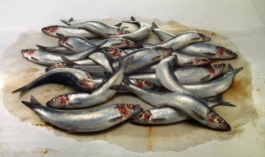 Herring1.jpg