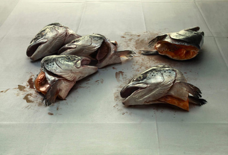 Salmon-heads.jpg