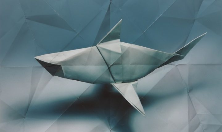origami-1.jpg