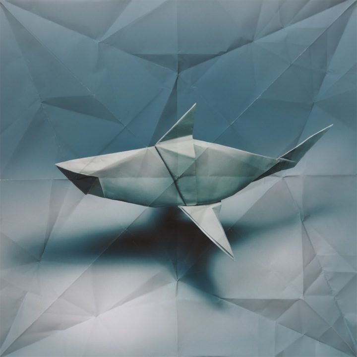 origami-1.jpg