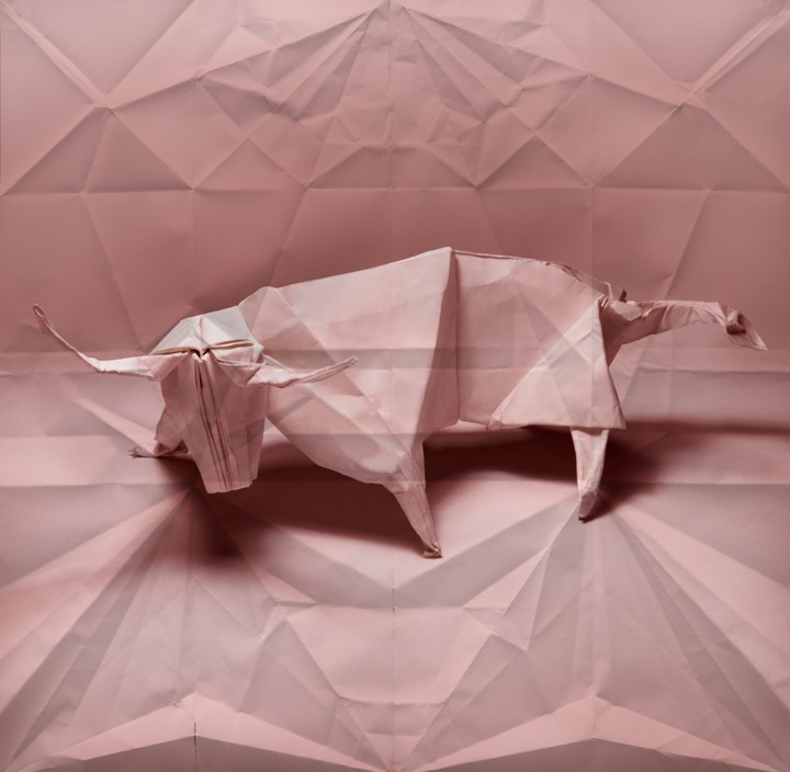 origami-2.jpg