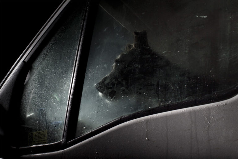 the-silence-of-dogs-in-cars-6.jpg