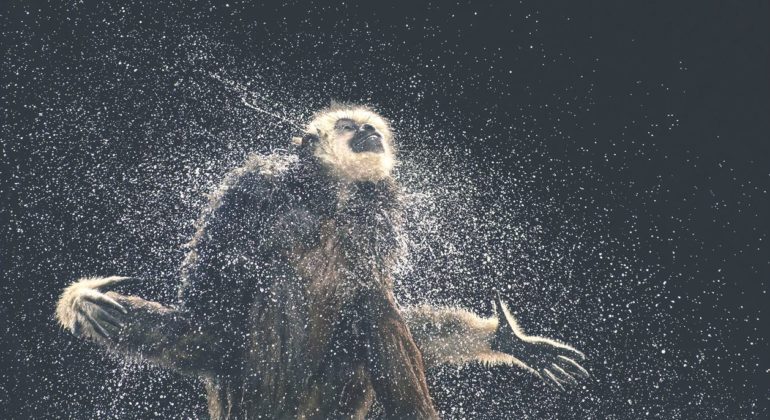 tim-flach-10.jpg