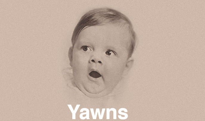 yawns.png