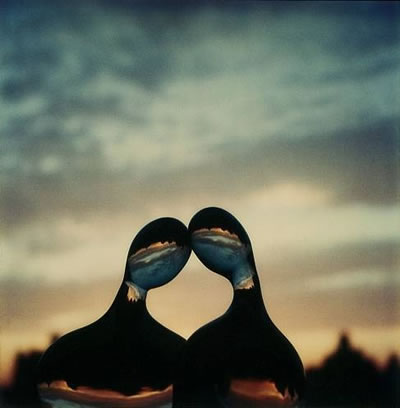 polaroid-1979.jpg