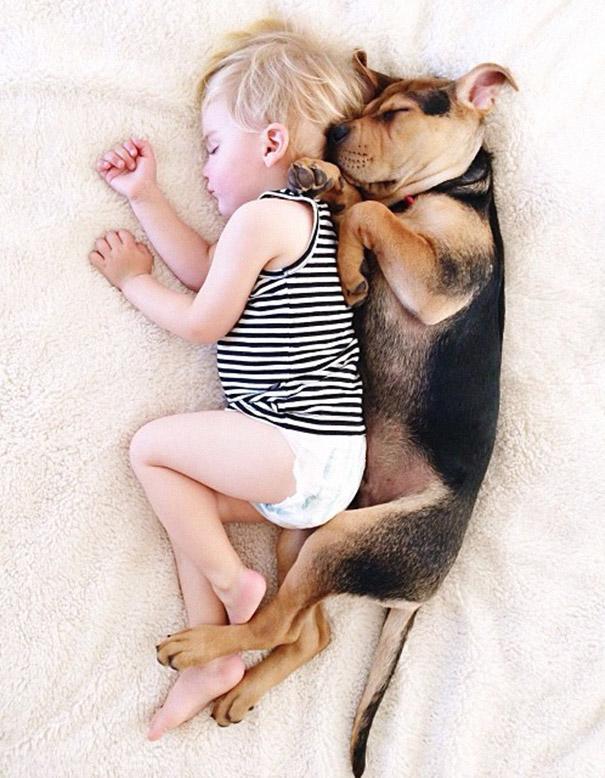 toddler-naps-with-puppy-theo-and-beau-2-13.jpg