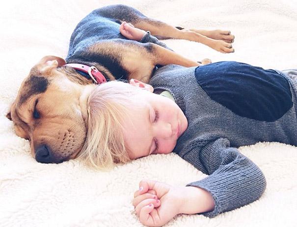 toddler-naps-with-puppy-theo-and-beau-2-17.jpg