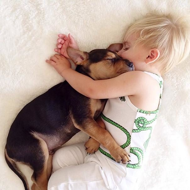 toddler-naps-with-puppy-theo-and-beau-2-19.jpg