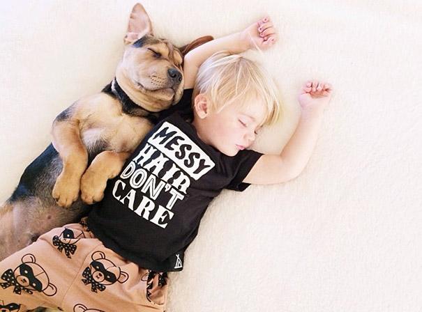 toddler-naps-with-puppy-theo-and-beau-2-4.jpg