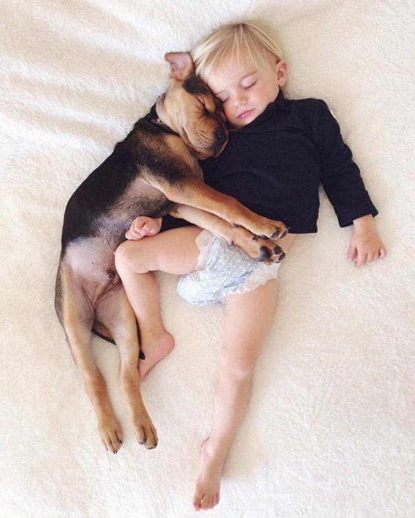 toddler-naps-with-puppy-theo-and-beau-2-7.jpg