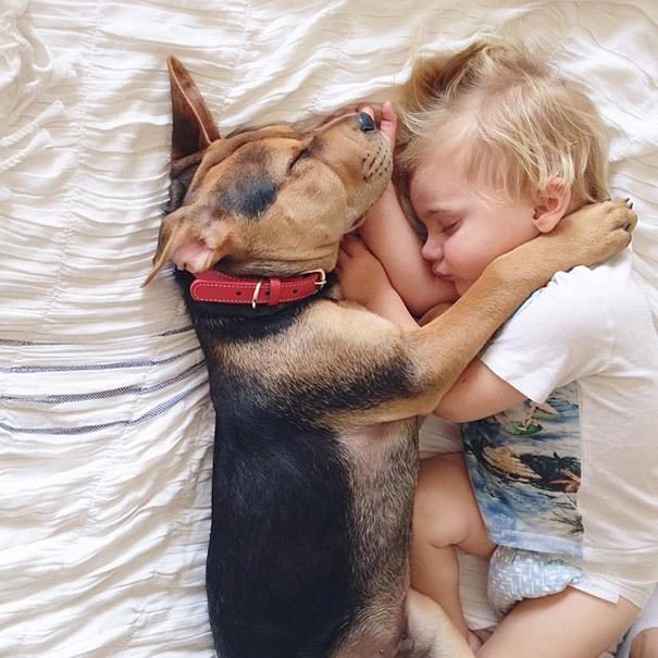 toddler-naps-with-puppy-theo-and-beau-2-8.jpg