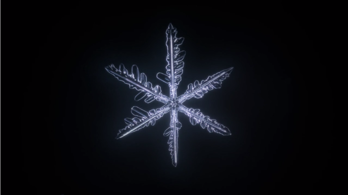 Le Timelapse Du Flocon De Neige Lense
