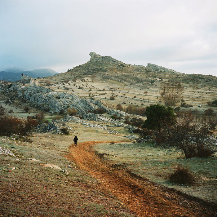 Antoine-Bruy-Scrublands-1.jpg