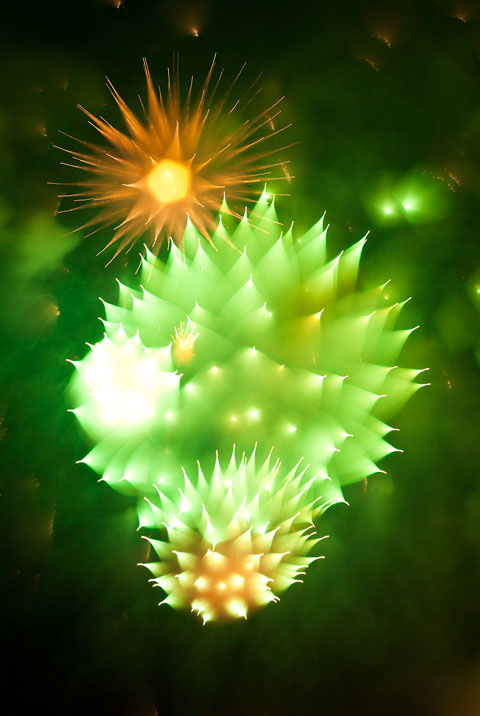 davey-johnson-efflorescence-fireworks-02.jpg