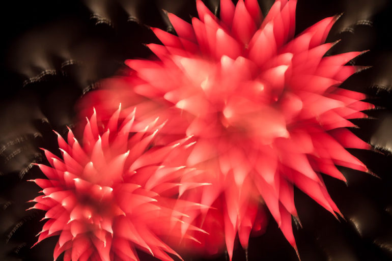davey-johnson-efflorescence-fireworks-10.jpg