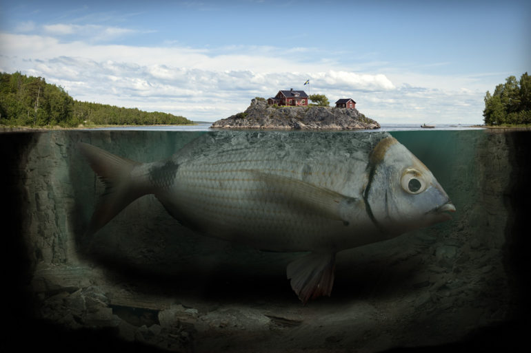 fishy-island.jpg