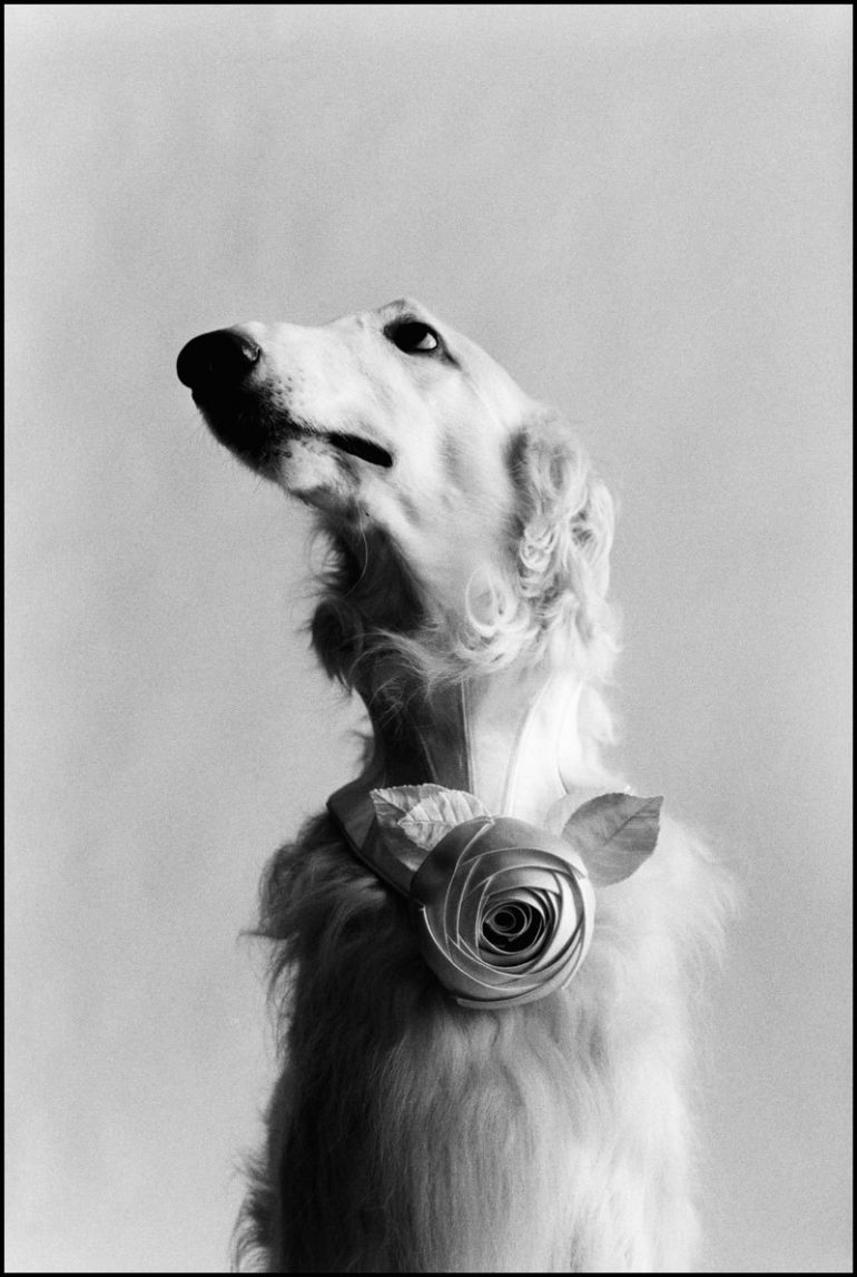 elliott-erwitt-new-york-1999.jpg