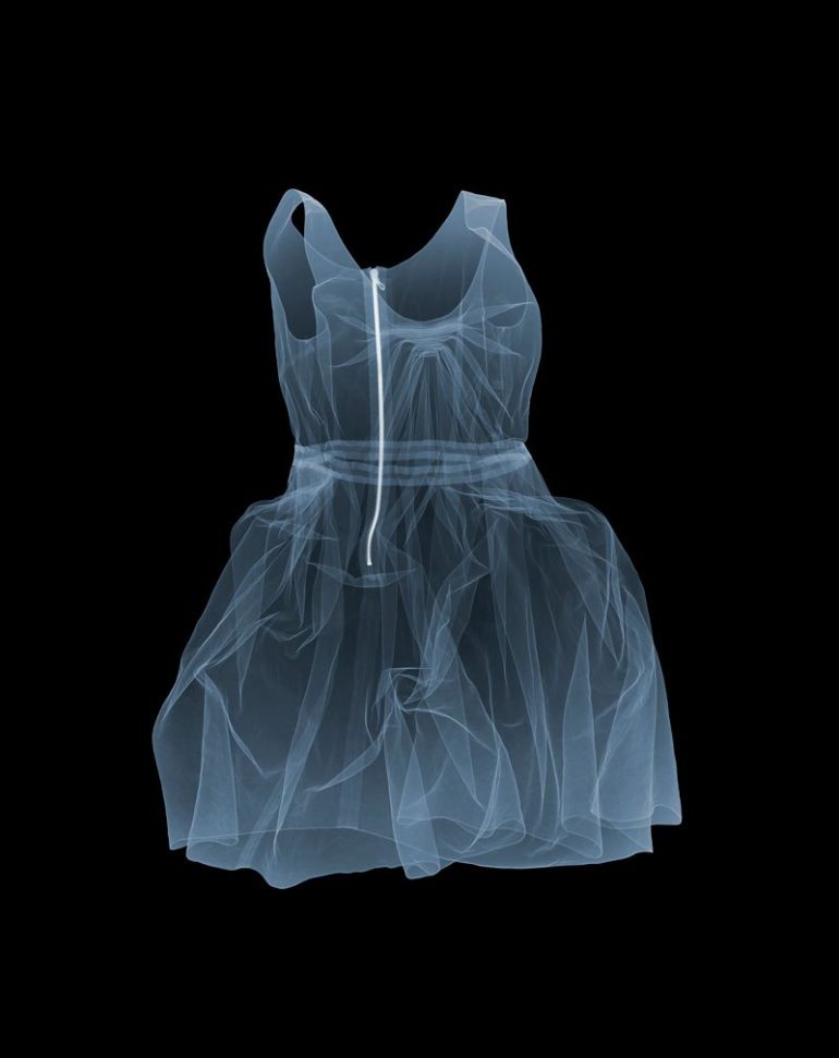 nick-veasey-lanvin-dress-2011.jpg