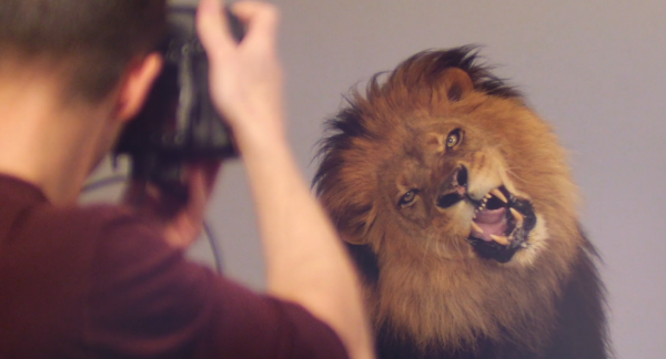 FireShot-Capture-10-Behind-the-scenes-with-Lions-Tigers-and-Bears_-https___vimeo.com_155121875-600x3241.png