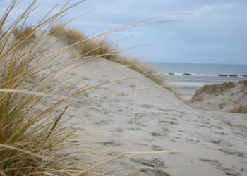 c-sophie-dune.jpg