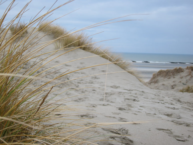 Dune © Sophie / Flickr