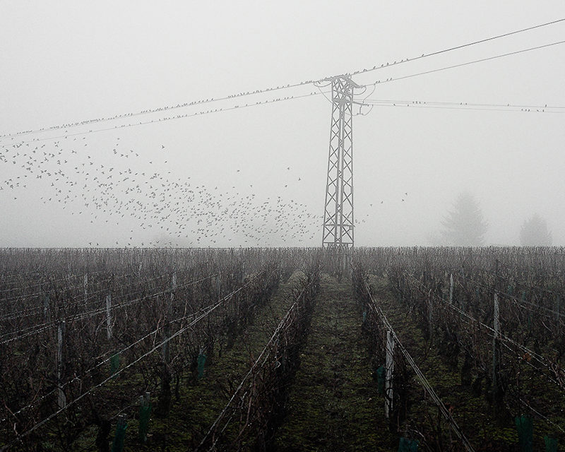 L’indifférence des étoiles - © Julien Mauve