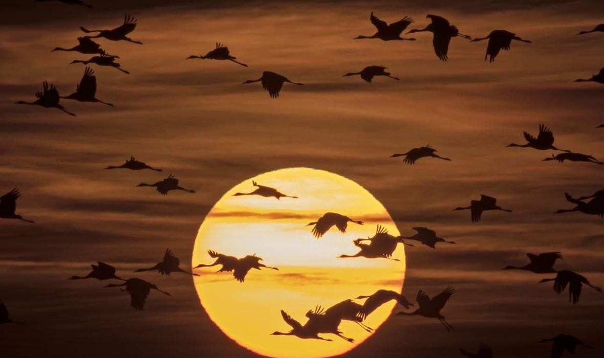 jens-meyerassociated-press