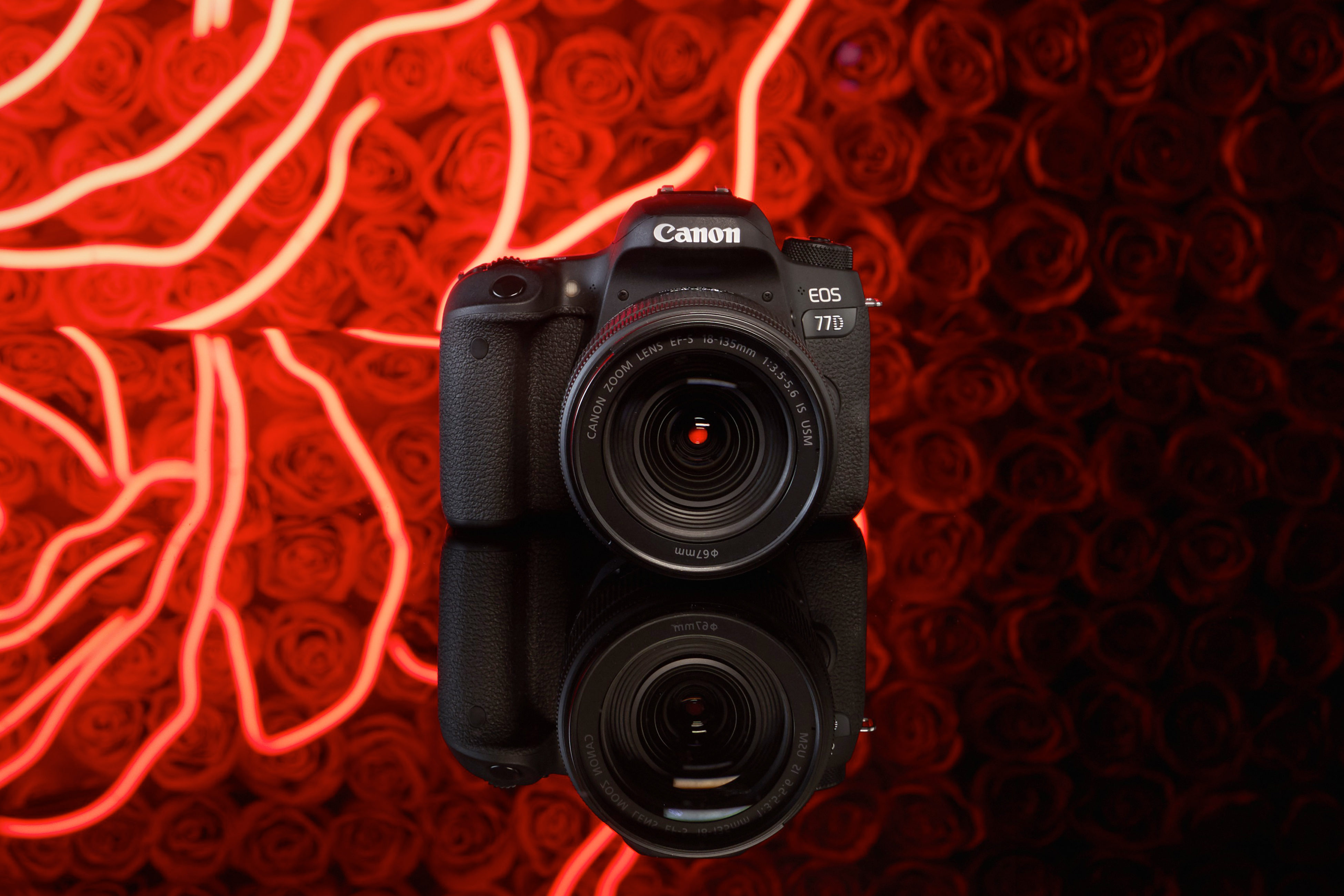 canon-eos-77d-life-style